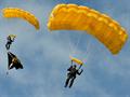 The Scottish Lions parachute display team land at The Grange.jpg